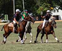 Stepping up so others may saddle up: Student volunteers make Relational  Riding Academy camp successful